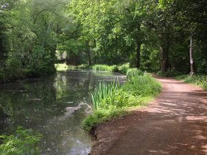 Brookwood - Basingstoke Canal