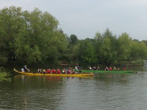 Goldsworth Park - Dragon boat racing on the lake
