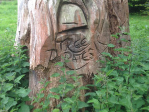 Woking Town Centre - Tree Pirates