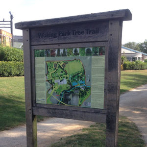 Woking Park Tree Trail Map