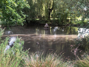 Bisley - Duck Pond