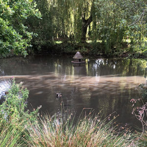 Bisley - Duck Pond